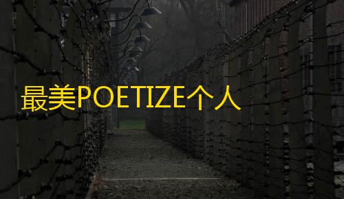 火焰鸟直装稳定版最美POETIZE个人博客系统源码